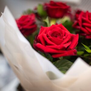 example 5